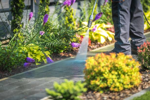 Best Parking Lot and Garage Cleaning  in Comstock Park, MI