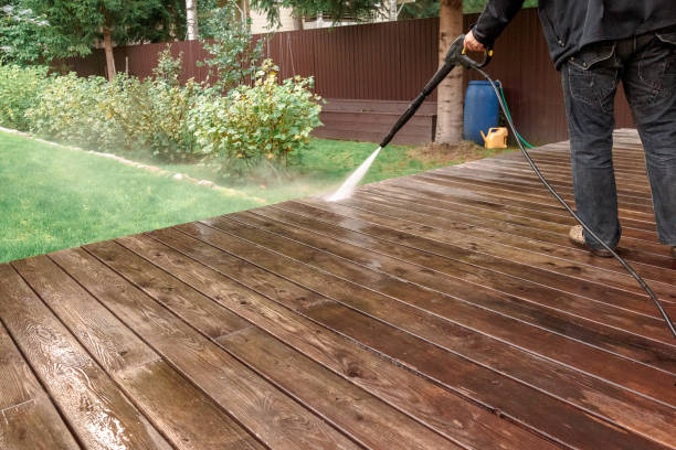 Best Pre-Holiday Cleaning  in Comstock Park, MI